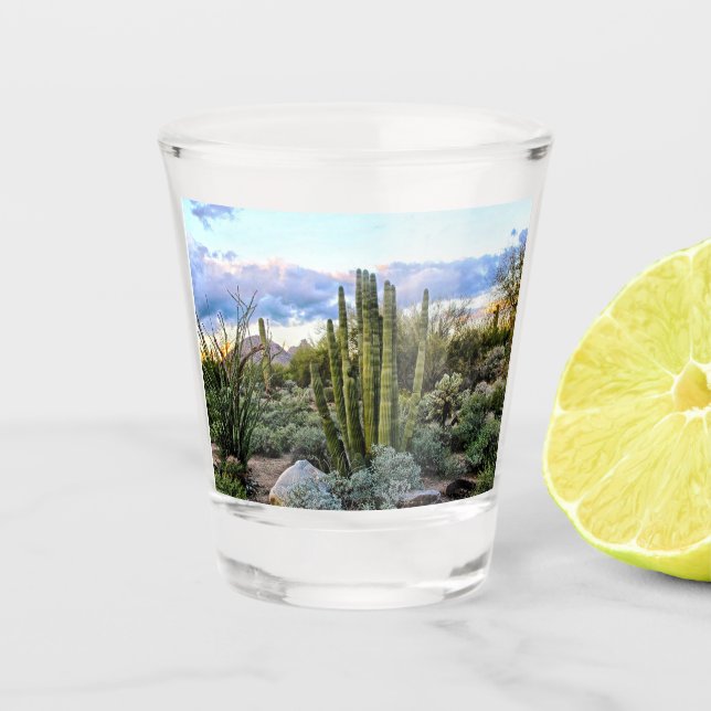 Scottsdale Succulent Sunset Shot Glass (Front)