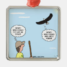 Scout and Eagle Thoughts