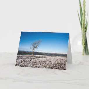 Scout Scar Holiday Card