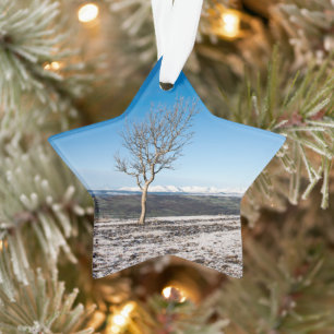 Scout Scar Holiday Card Poster Photo Block Snow Gl Ornament