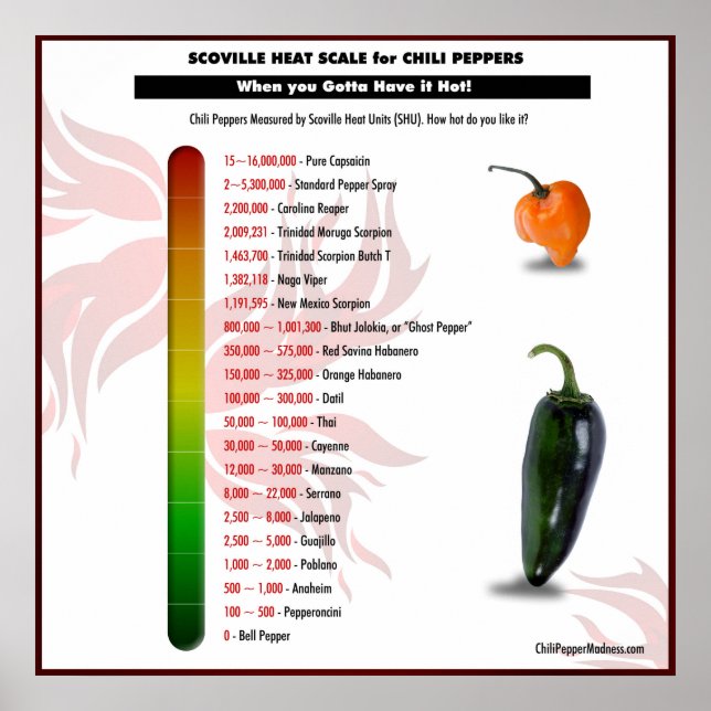 Scoville Heat Scale for Chilli Peppers Poster (Front)