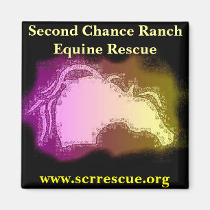 SCR Magnet