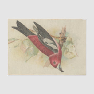 Scrap Ephemera  Design Series #24 Tissue Paper