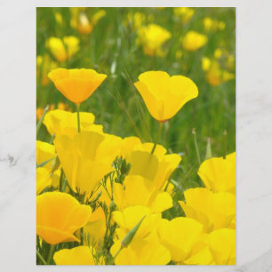 Scrapbook paper Orange Poppy Flowers Crafts