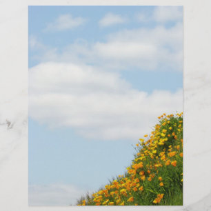 Scrapbook Paper Summer Meadow Poppy Flowers