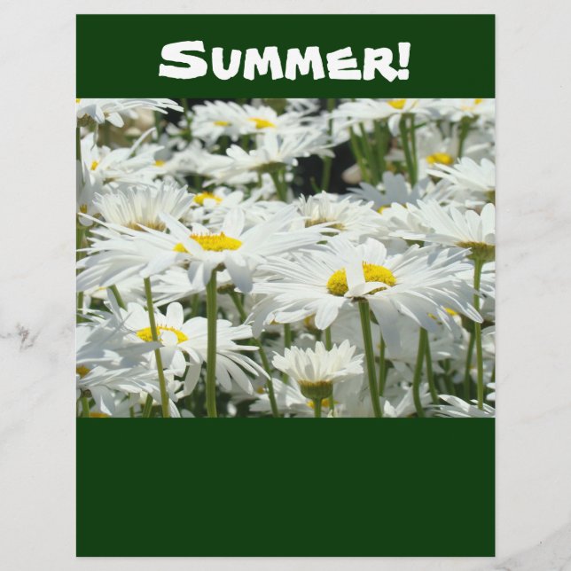 Scrapbook paper Summer theme Daisies Scrapbooking (Front)