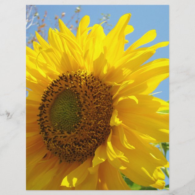 Scrapbook paper Yellow Sunflower Garden (Front)