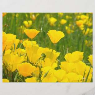 Scrapbooking Paper California Orange Poppy Flowers