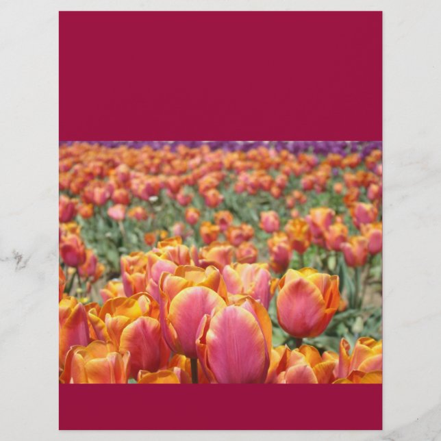 Scrapbooking paper Colourful Tulip Flowers Festiva (Front)