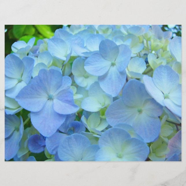 Scrapbooking Theme paper Blue Hydrangea Flowers (Front)