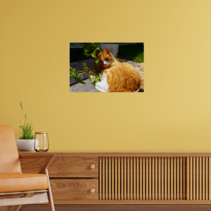 Scrapper in a pot poster