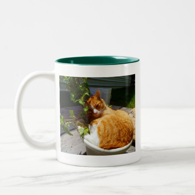 Scrapper in a pot Two-Tone coffee mug (Left)