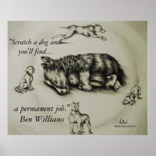 Scratch a Dog - Dog Sleeping Poster