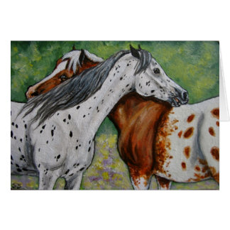 Scratch My Back, Appaloosa Horses