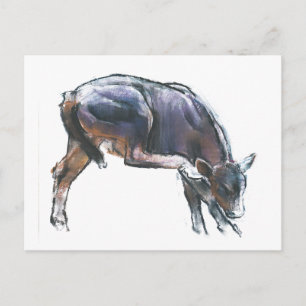 Scratching Calf 2006 Postcard