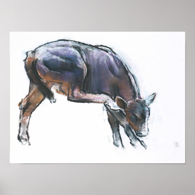 Scratching Calf 2006 Poster (Front)