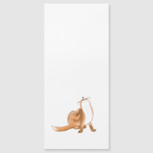 Scratching fox