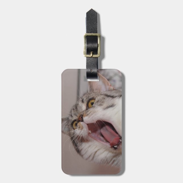 Screaming British Shorthair Luggage Tag (Front Vertical)