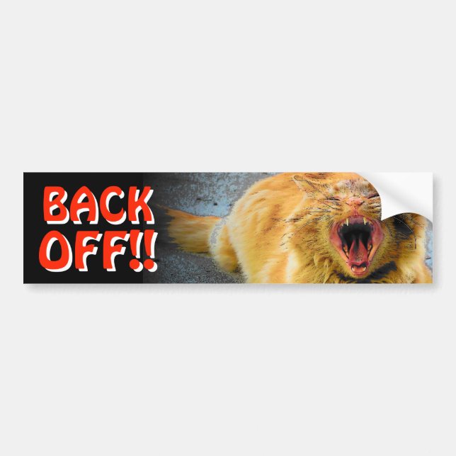 Screaming Cat Back Off Tailgater Meme Bumper Sticker (Front)