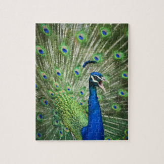 Screaming peacock jigsaw puzzle