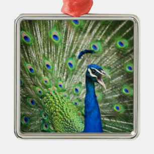 Screaming peacock metal tree decoration