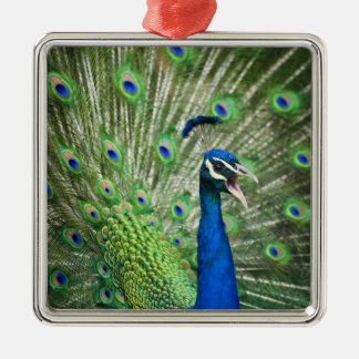 Screaming peacock metal tree decoration