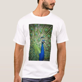 Screaming peacock T-Shirt