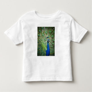 Screaming peacock toddler T-Shirt