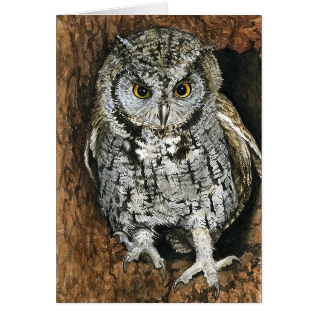Screech Owl (Front)