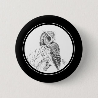 Screech Owl Button in pencil
