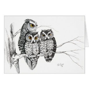 Screech Owl Family 2 Card in ink