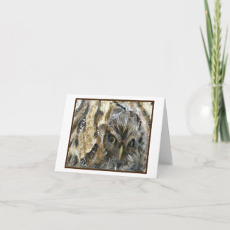 Screech Owl Note Cards