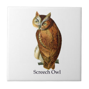 Screech Owl Tile