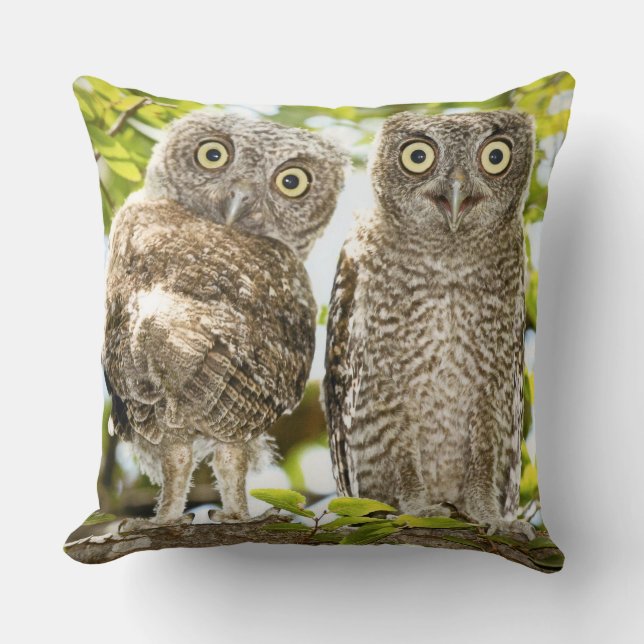 Screech Owls Chicks 2 Cushion (Front)