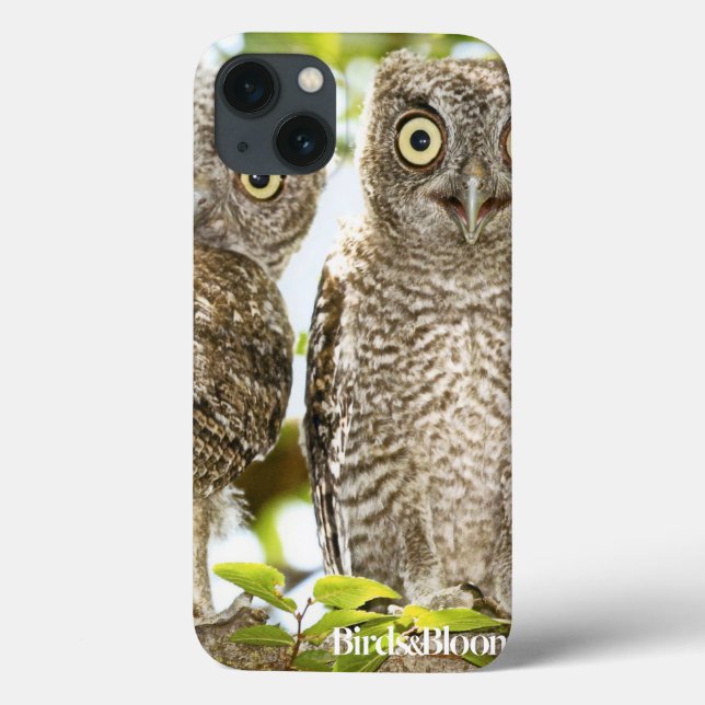 Screech Owls Chicks Case-Mate iPhone Case (Back)