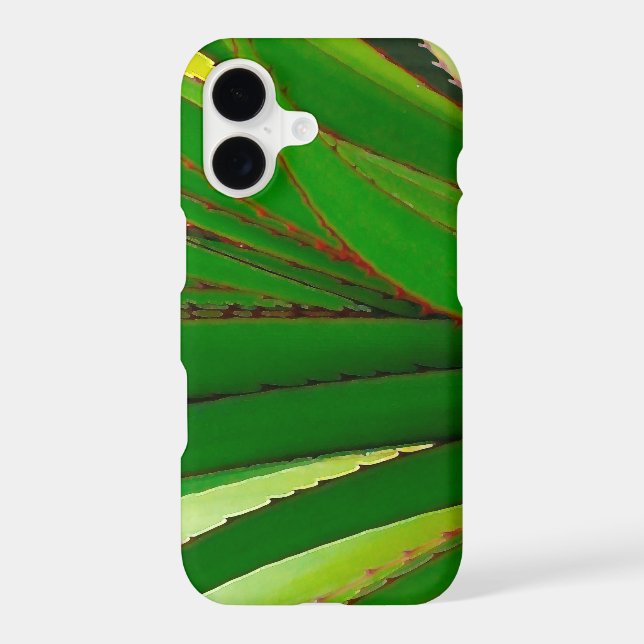 Screw Pine Closeup (Back)