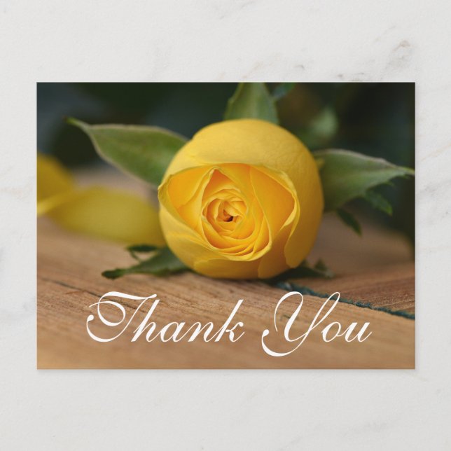 Script Yellow Rose Thank You Card (Front)