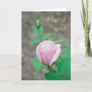 Scripture card - Thank You with light pink rose