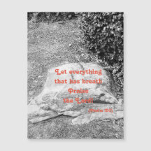 Scripture of Praise Magnetic Greeting Card