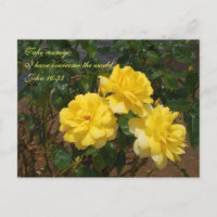 Scripture postcard I have overcome the world