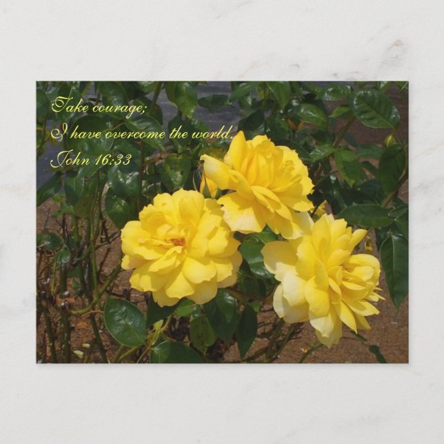 Scripture postcard I have overcome the world (Front)