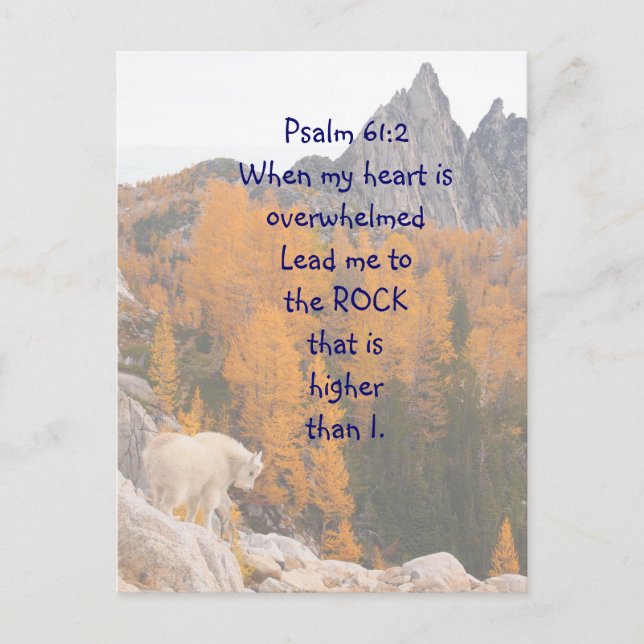 Scripture Psalm 61:2 Rock Higher than I am Postcard (Front)