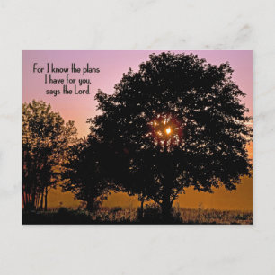 Scripture verse with sunset tree holiday postcard