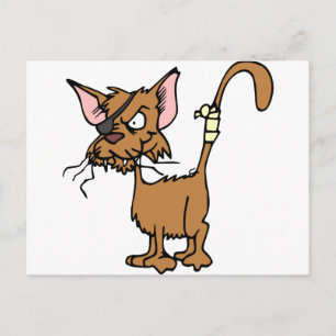 Scruffy Cat Postcard