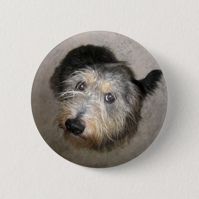 Scruffy cute dog badge (Front)
