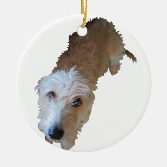 Scruffy Dog Ornament (Front)