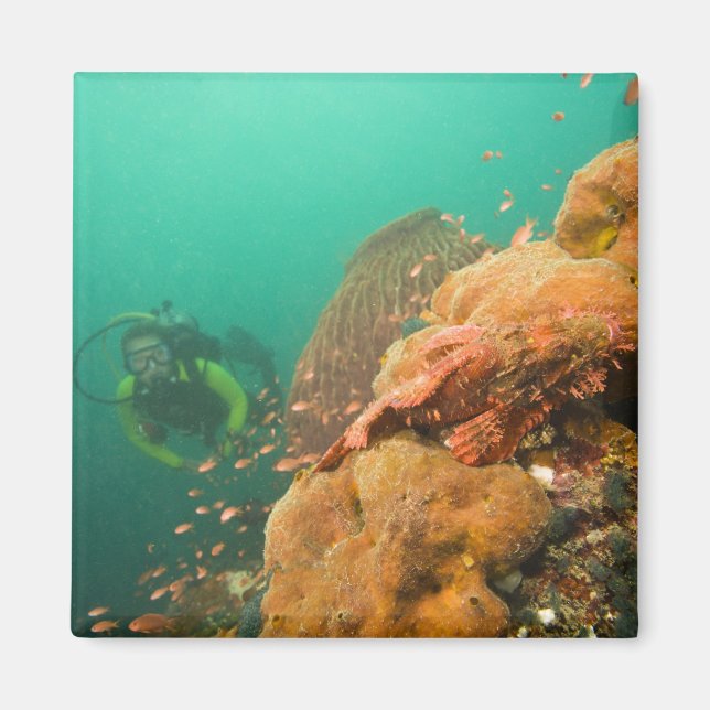 scuba diver & Scorpionfish Scorpanopsis Magnet (Front)
