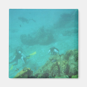 Scuba Divers Dream Magnet