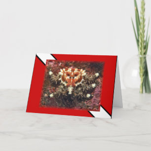 Scuba Diving Heart Crab - Card