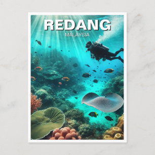 Scuba Diving in Redang Malaysia Postcard